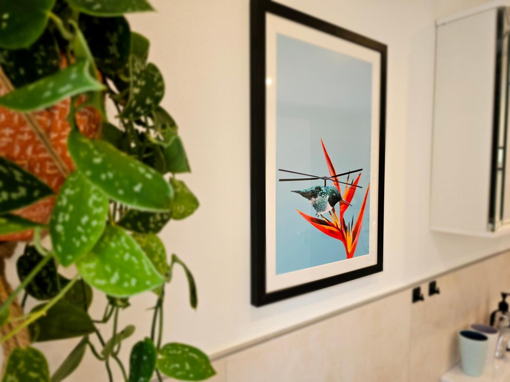 Kolibri - Design Maisonette - Nintendo Switch, Streaming, Bikestore, E-Wallbox Marburg ภายนอก รูปภาพ