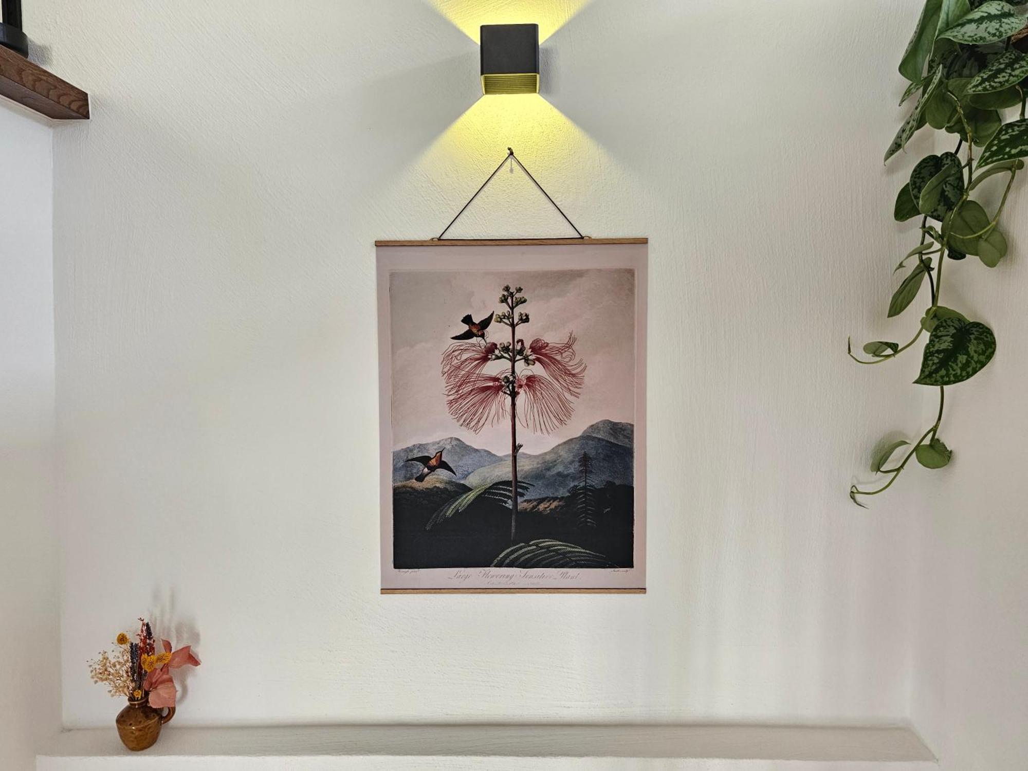Kolibri - Design Maisonette - Nintendo Switch, Streaming, Bikestore, E-Wallbox Marburg ภายนอก รูปภาพ